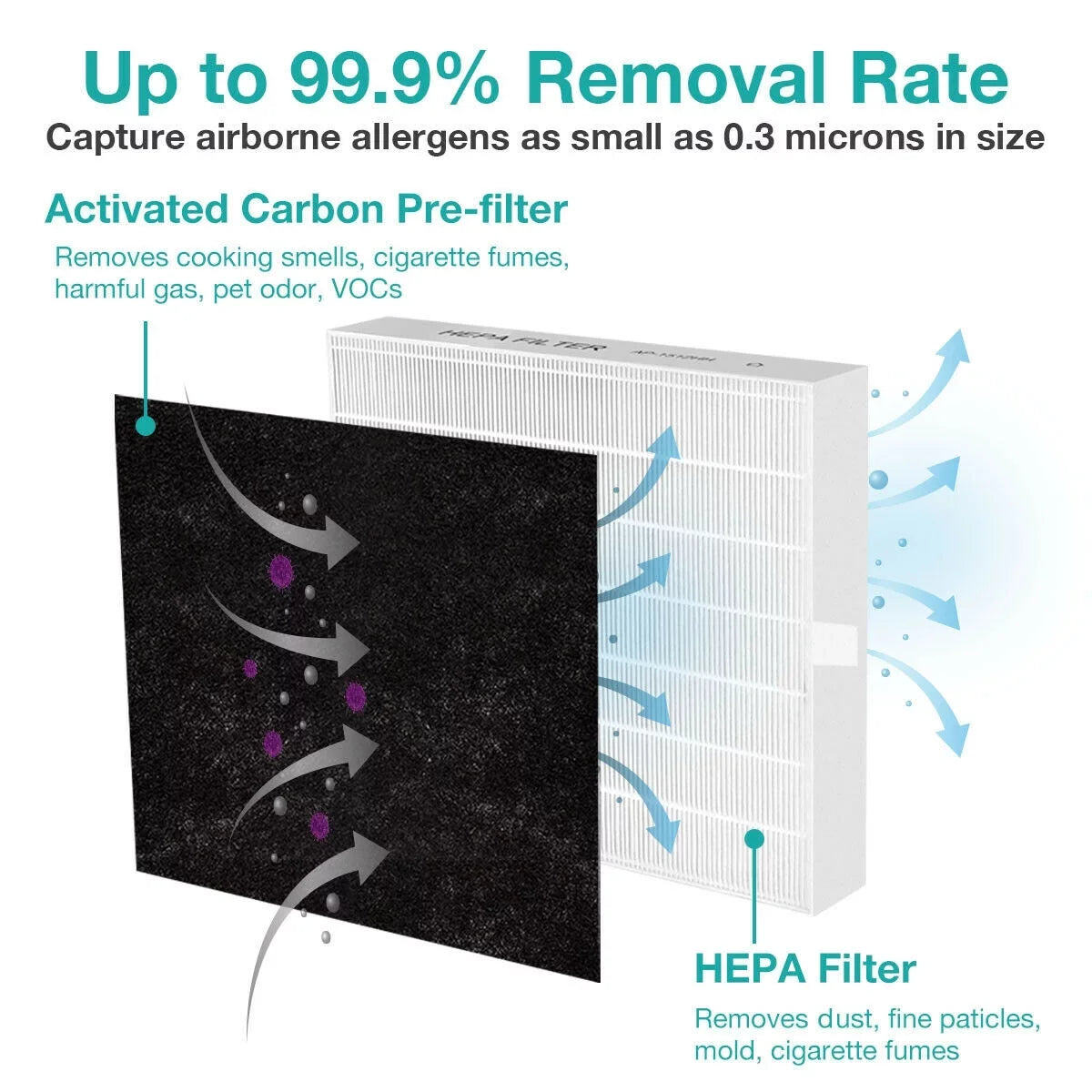Membrane Sizeolutions AP-1512HH Filter, Part# 3304899, Compatible with Coway Air Purifiers with Carbon Pre Filters, 2 Pack