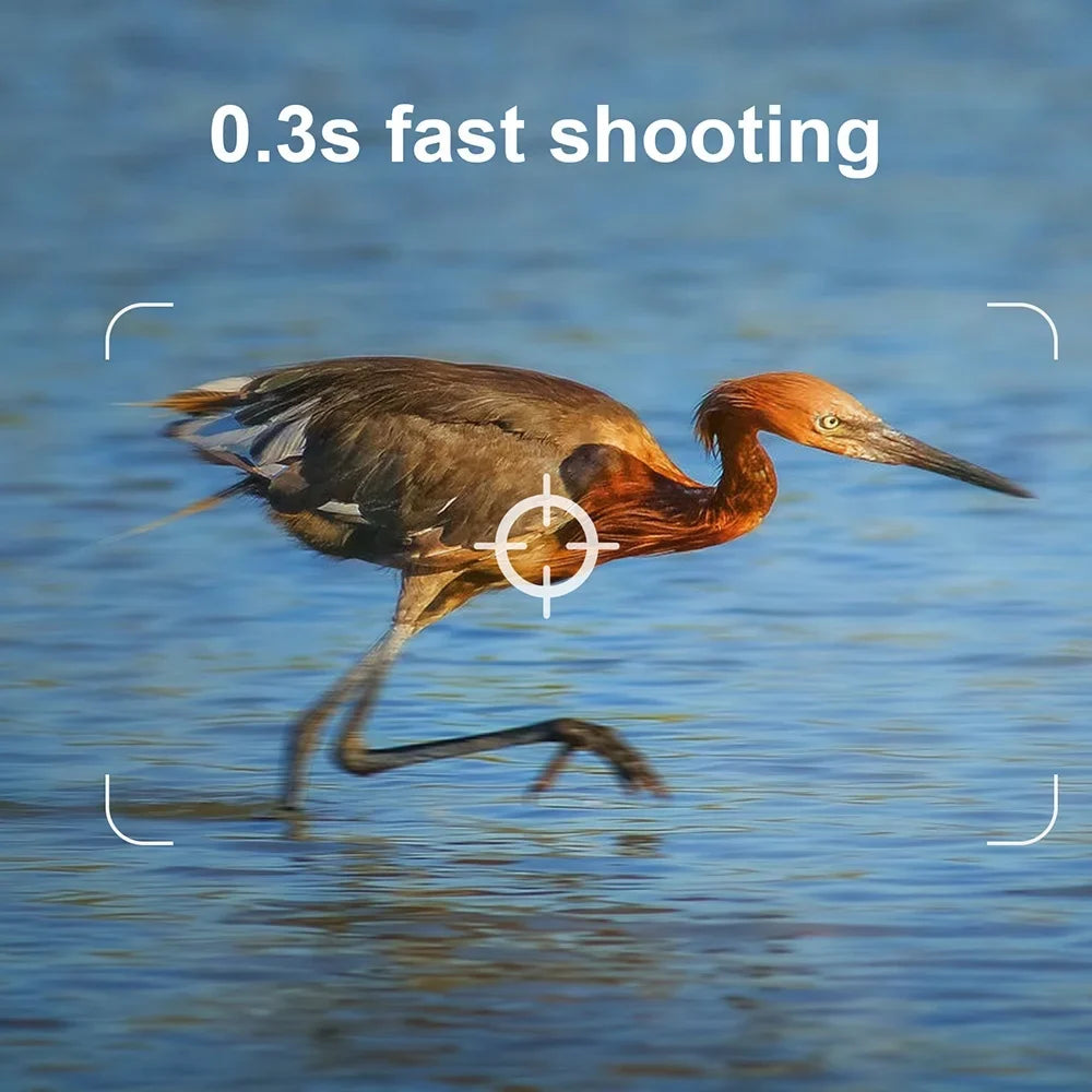 Pristin Camera,Weatherproof 0.2Size Sizepeed IP65 Weatherproof 0.2Size Months Sizetandby IP65 Camera Motion Sizemall Camera Portable Animal/Plant Outdoor Use 6 Vision Camera Motion Sizepeed Camera Portable