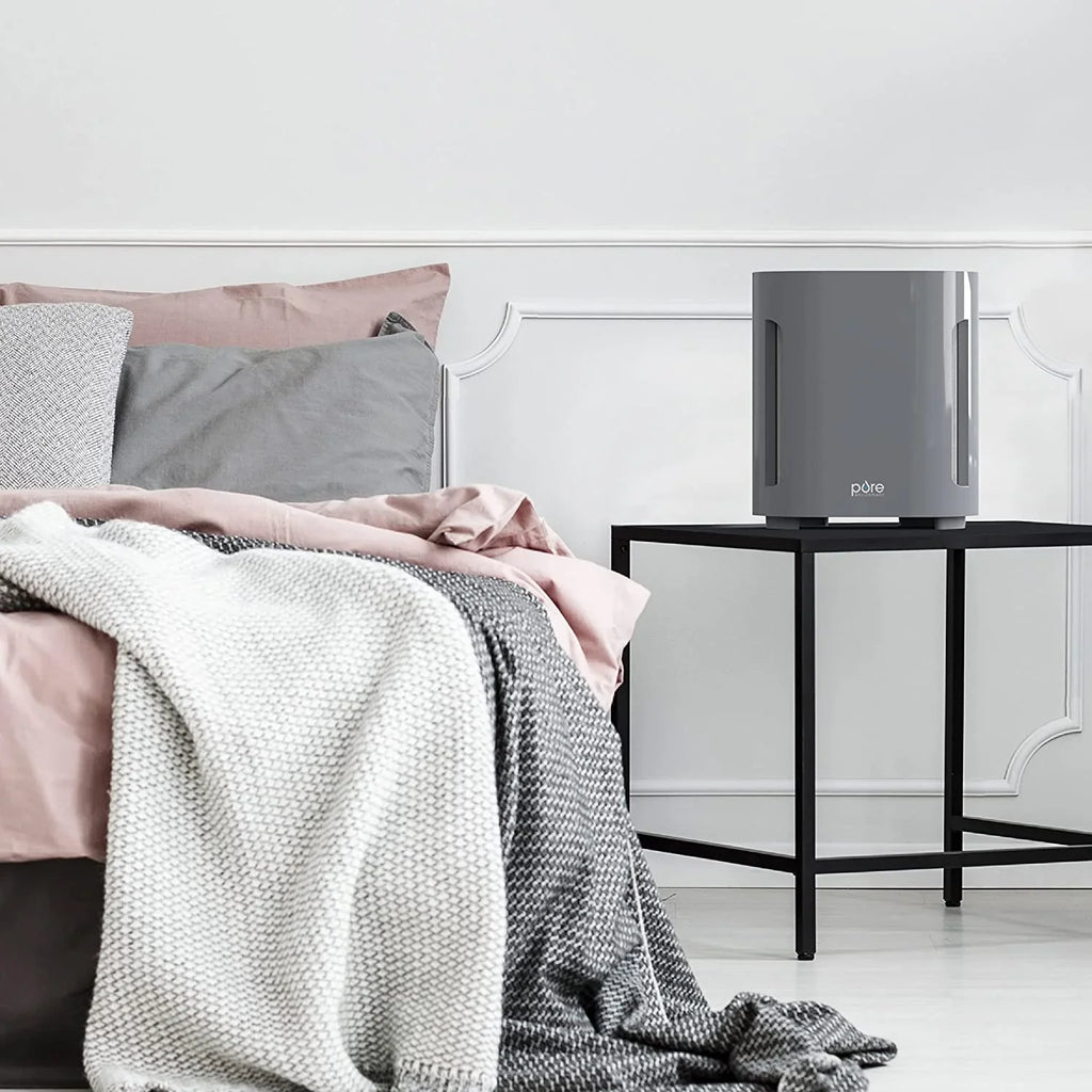 Bear Down Brands Pure Enrichment PureZone True HEPA Air Purifier