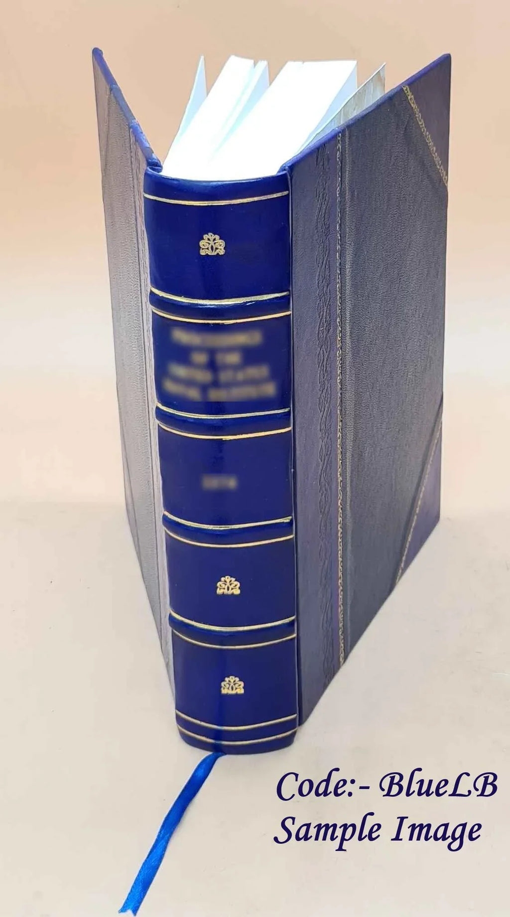 Future underwater activities and their implications for the Coast Guard circa 1978-2000 / Charles W. Williams ... [et al.]. v.3. Volume v.3 1978 [Leather Bound]