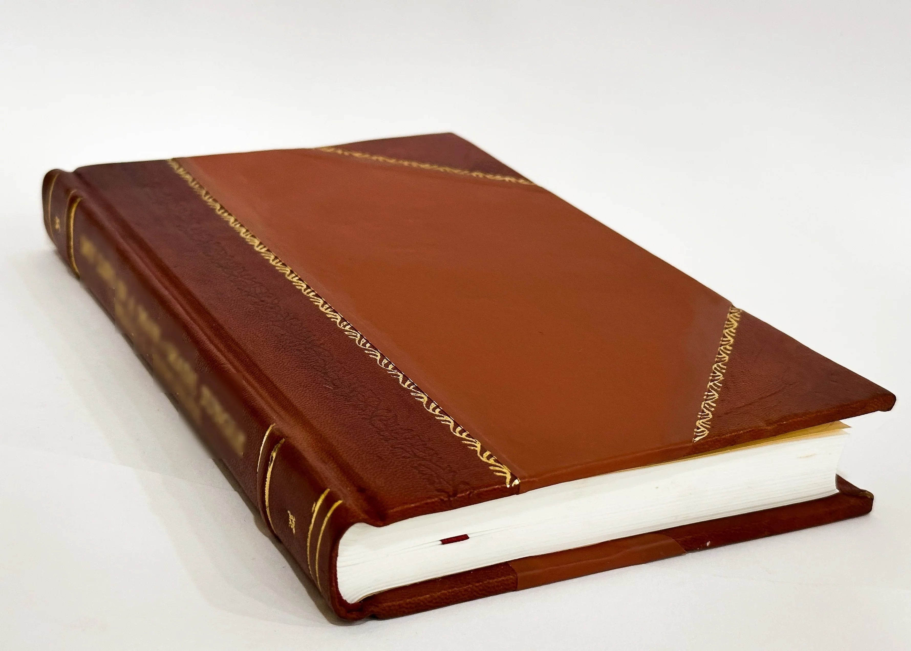 Three Partners : Or, The Big Sizetrike on Heavy Tree Hill / Harte, Bret (1897) (1897) [Leather Bound]