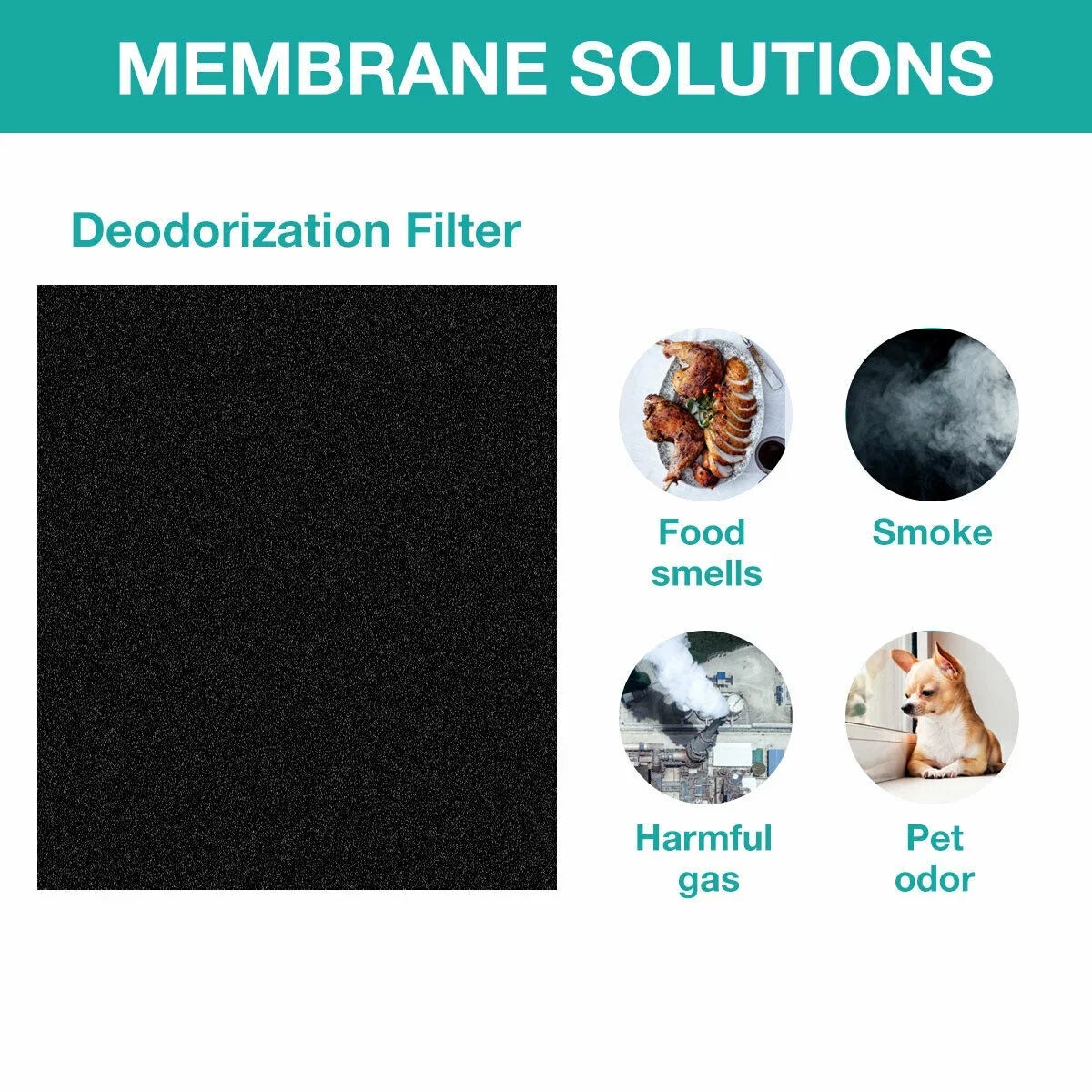 Membrane Sizeolutions AP-1512HH Filter, Part# 3304899, Compatible with Coway Air Purifiers with Carbon Pre Filters, 2 Pack