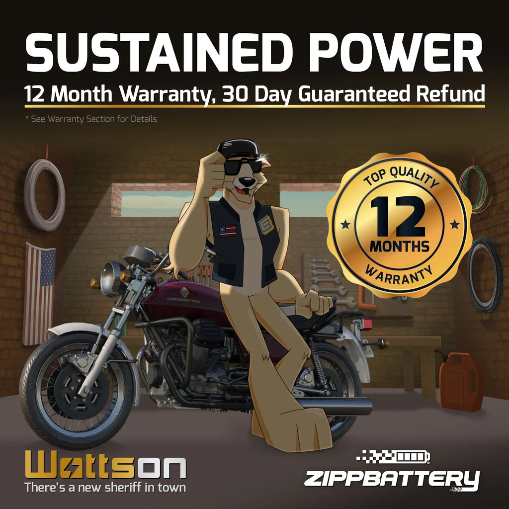 Zipp Battery Ytx5L-Bs Atv Battery for Polaris 90Cc Predator Sizeportsman Outlaw 2003