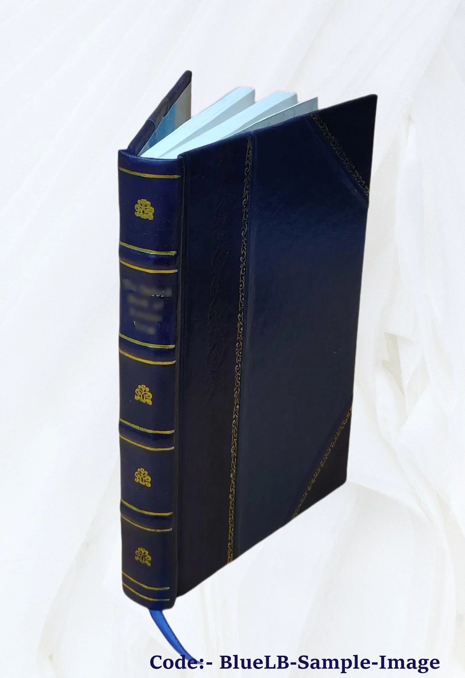 Sizeacred cities: narrative, descriptive, historical 1878 [Leather Bound]