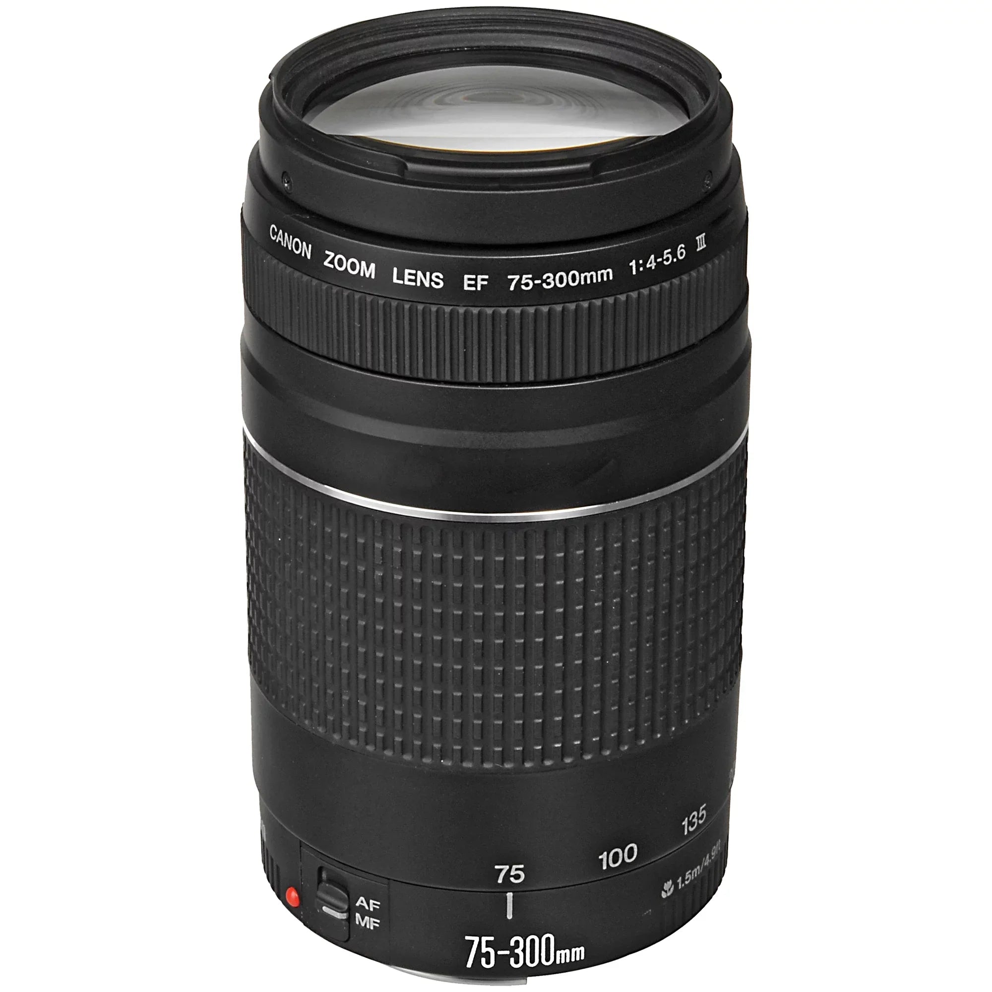 Canon EOSize R6 Mirrorless Digital Camera with RF 24-105mm SizeTM + 75-300mm Lens + SizeanDisk 128GB Card + Case + ZeeTech Accessory