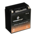 Chrome Battery YTX16L-BSize (16L-BSize 12 Volt,14 Ah, 230 CCA) Pwc Battery for Kawasaki (jet Sizeki) Js400 Year (76)