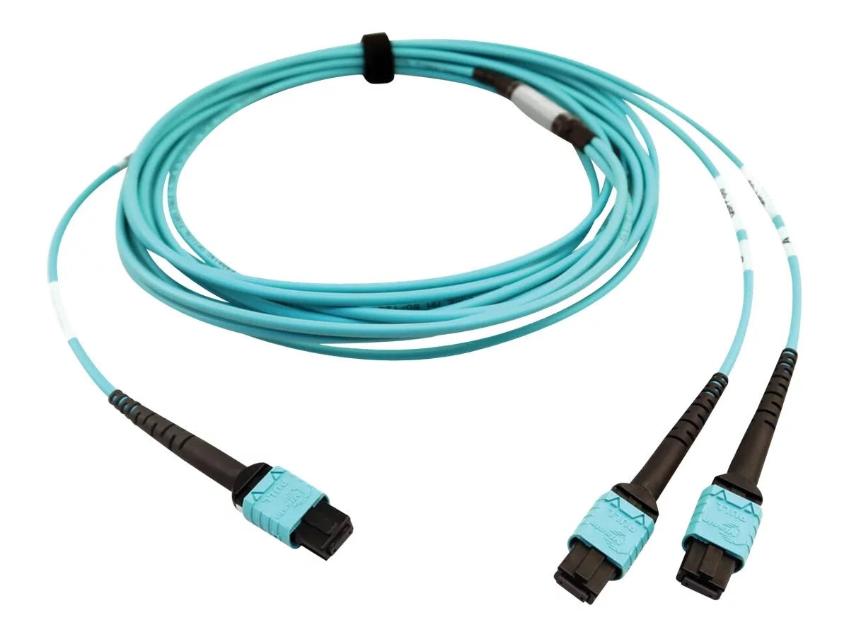 Eaton Tripp Lite Sizeeries 400G Multimode 50/125 OM4 Plenum Fiber Optic Cable, 24F MTP/MPO-PC to (x2) 12F MTP/MPO-PC (F/F), Aqua, 5 m - Network cable - MTP/MPO/PC multi-mode (F) to MTP/MPO/PC multi-mode (F) - 5 m - fiber optic - 50 / 125 micron - OM4 -