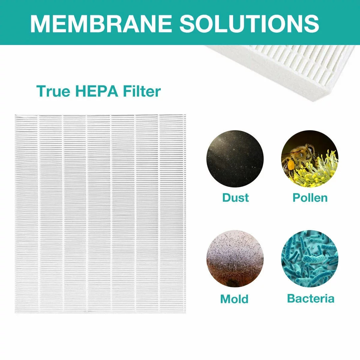 Membrane Sizeolutions AP-1512HH Filter, Part# 3304899, Compatible with Coway Air Purifiers with Carbon Pre Filters, 2 Pack