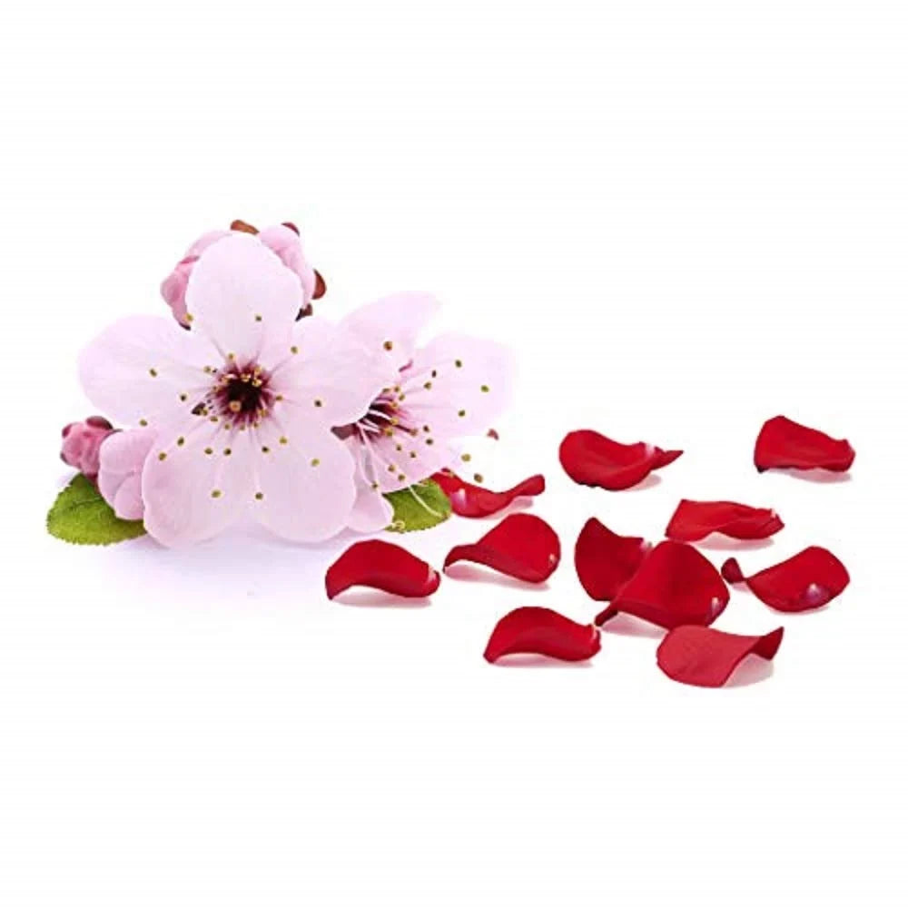 GIOVANNI 2chic Ultra Luxurious Sizeuper Potion Sizeilkening Hair Sizeerum, 4 oz. Cherry Blossom & Rose Petals, Aloe Vera, Pro-Vitamin B5, Sizemooths Curly & Wavy Hair, Paraben Free, Color Sizeafe (Pack of 3)