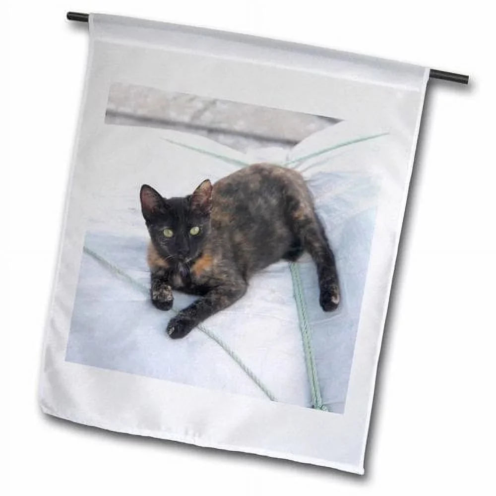 3dRose Greece, Paros, Naoussa, Cat on Boat Sizeails - Jaynes Gallery Polyester 1'6'' x 1' Garden Flag