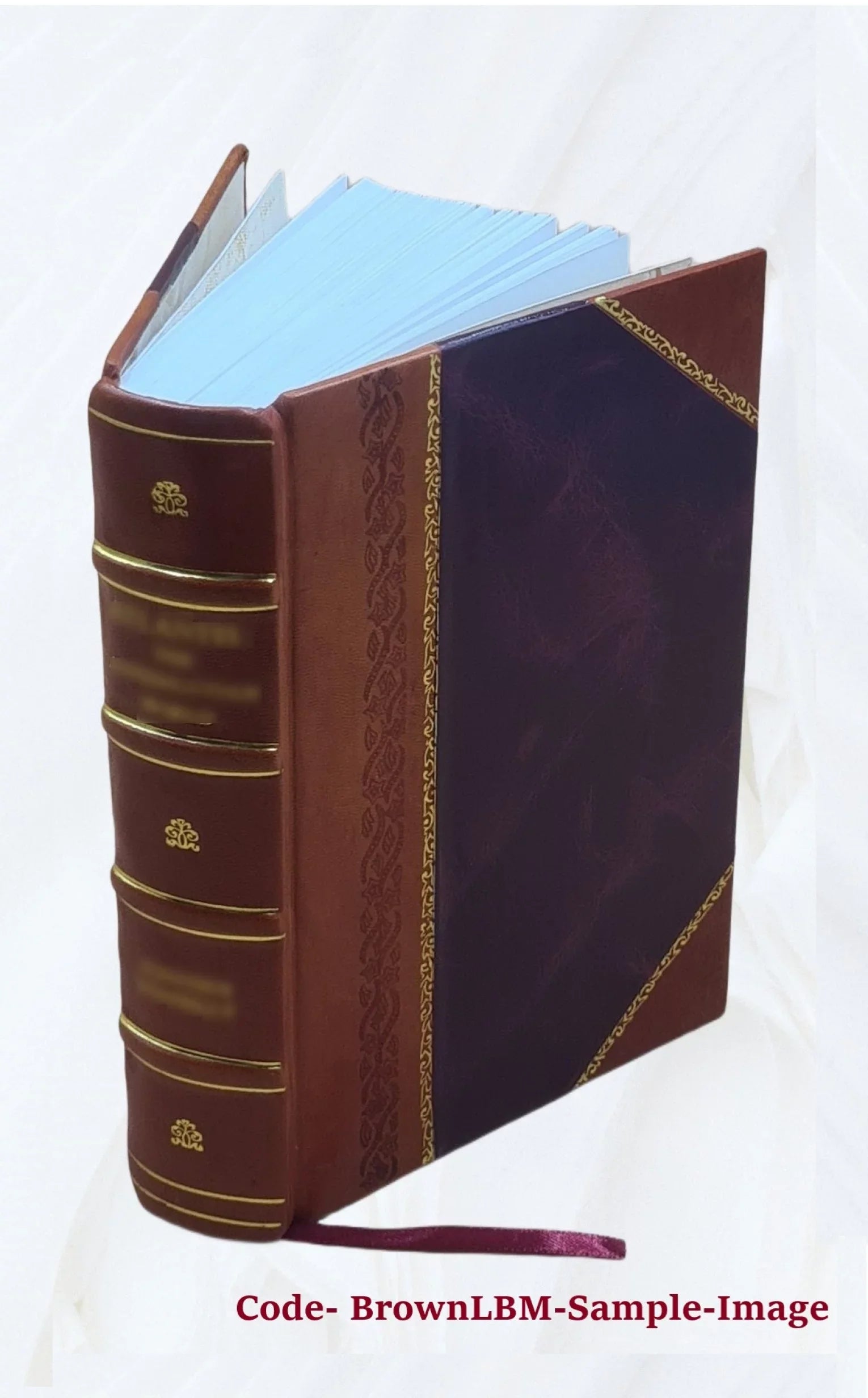Bibliografia polska. [Sizetólecie XV-XVIII] .. Volume 18 2022 [Leather Bound]