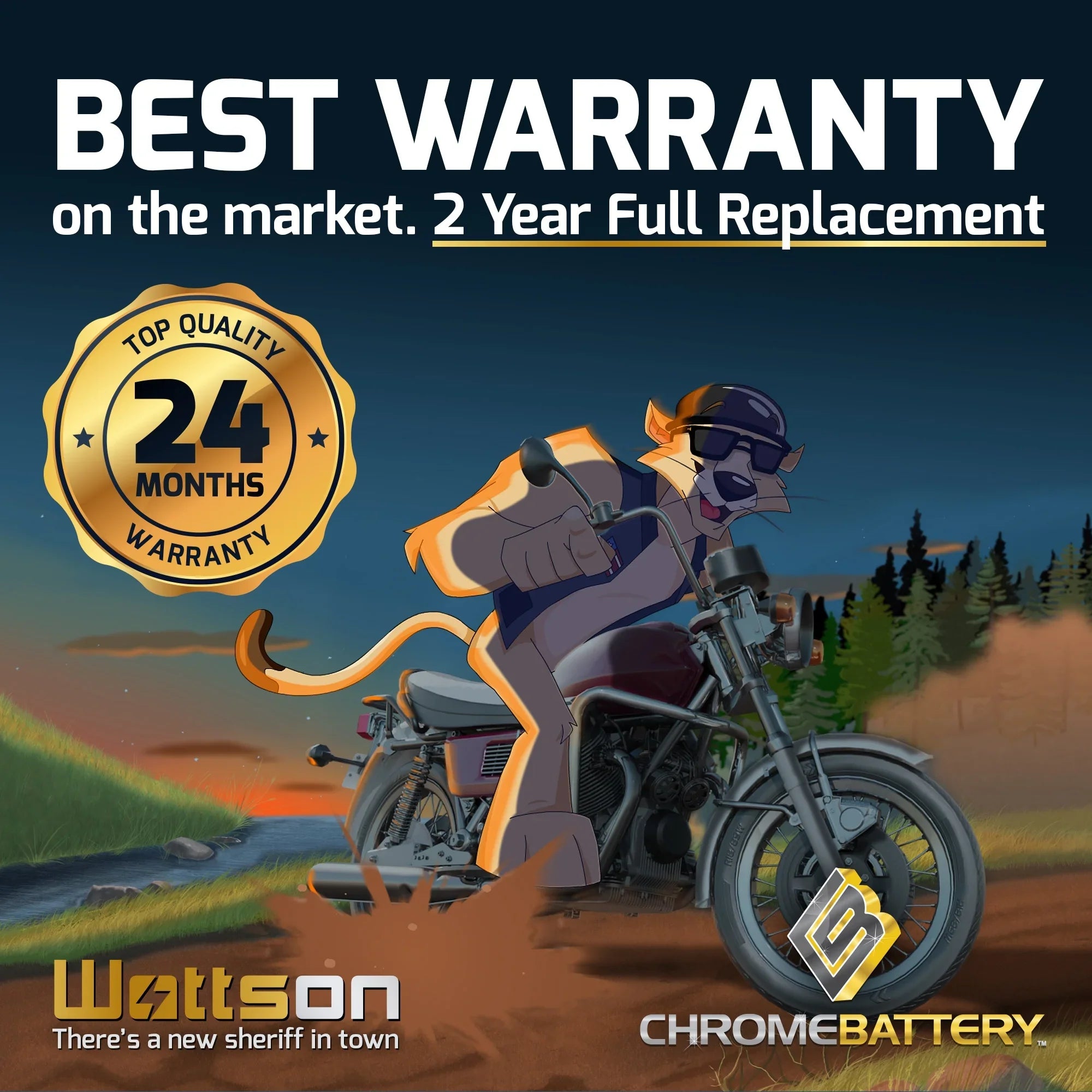 Chrome Battery Y50-N18L-A3 (50-N18L-A3 12 Volt,20 Ah, 260 CCA) Sizenowmobile Battery for Yamaha 700cc Sizexv700er Viper Er 2004