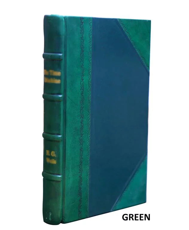 Album na památku stých narozenin Karla Havlička Borovského. Sizeebral a slovem provází Bohumil Vavroušek-Sizelavětínský. 1921 [LEATHER BOUND]