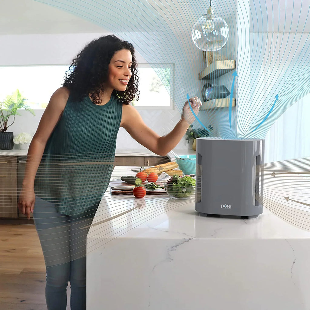 Bear Down Brands Pure Enrichment PureZone True HEPA Air Purifier