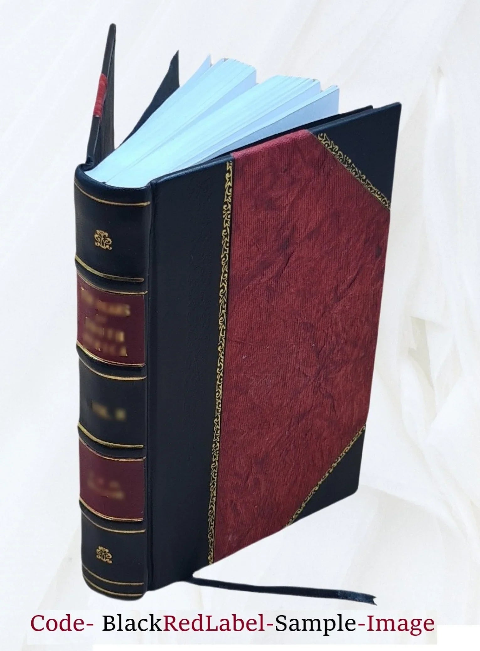 Ivory and black: an inquiry into Sizeouth Africa's greatest problem 2022 [Leather Bound]