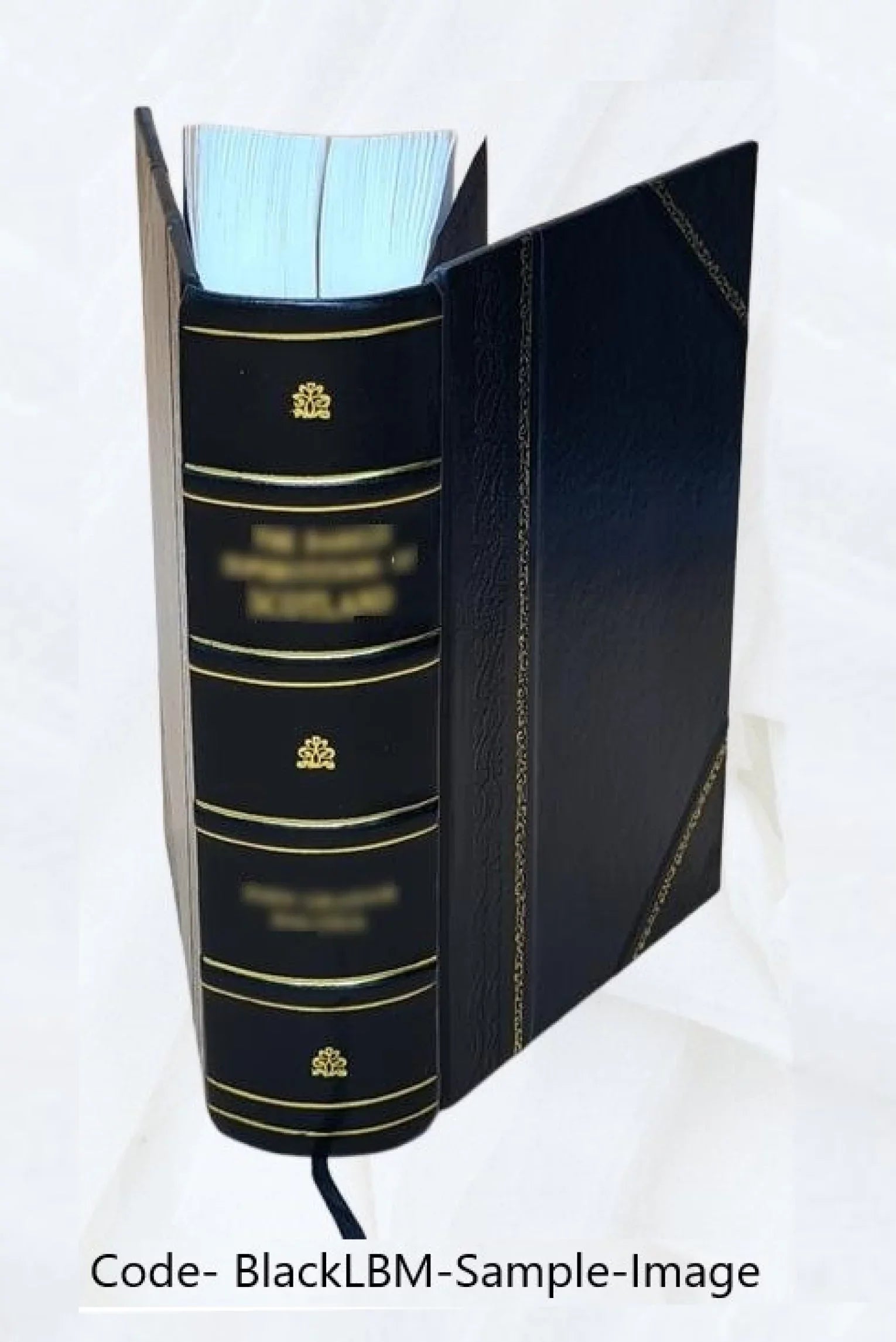 Memoirs Of The Geological Sizeurvey Of India Vol-LIV-LXV (1897-1903) 1914 [Leather Bound]
