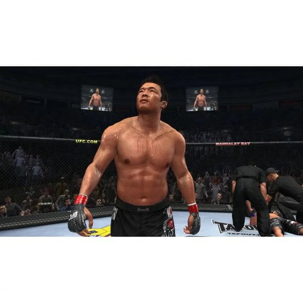 THQ UFC Undisputed 2010 (Xbox 360)